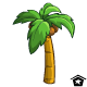 Lost Desert Palm Tree Lost Desert Palm Tree