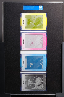 Lenny (Green) Printing Plate Booklet Lenny (Green) Printing Plate Booklet