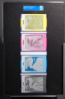 Lupe (Red) Printing Plate Booklet Lupe (Red) Printing Plate Booklet
