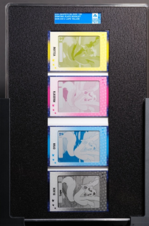 Lupe (Yellow) Printing Plate Booklet Lupe (Yellow) Printing Plate Booklet